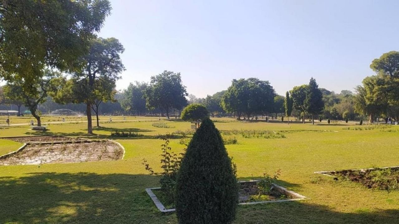 The state of Zakir Hussain Rose Garden in Chandigarh tell a tale of neglect and callousness. Credit: IANS Photo