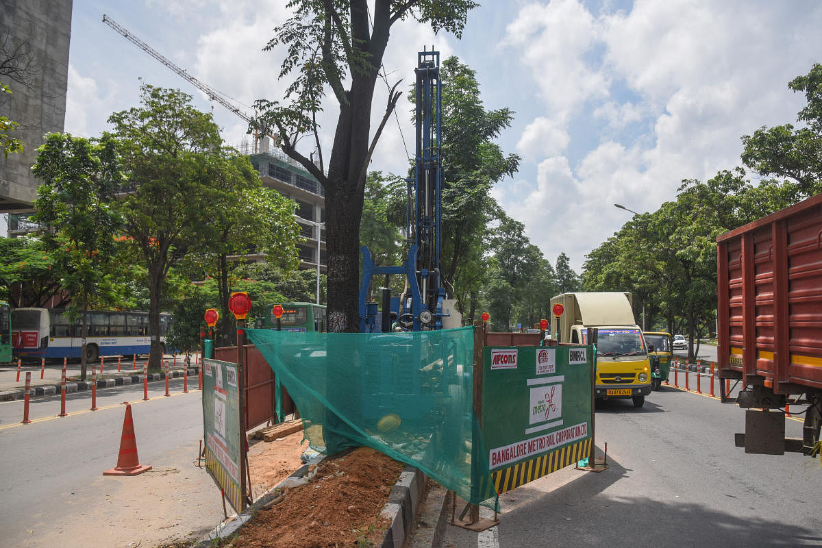 During the inspection of the stretch between the Central Silk Board Junction and Kodibeesanahalli, the committee found that royal palm and silver oak trees, from tree number 195 to 201, were missing from the spot.  Credit: DH photo