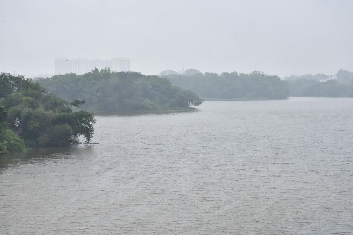 A view on Hebbal lake during the rain in Bengaluru. Credit: DH File Photo