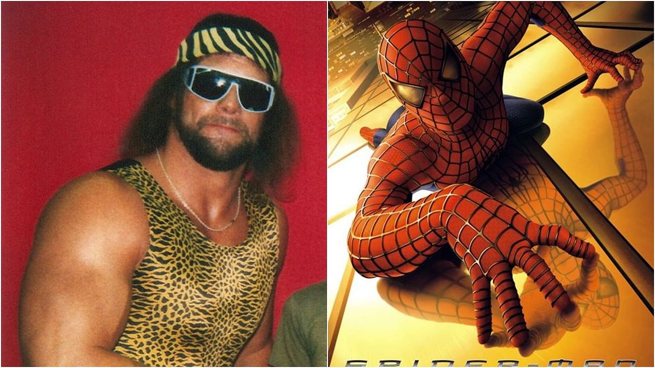 Randy store savage spiderman