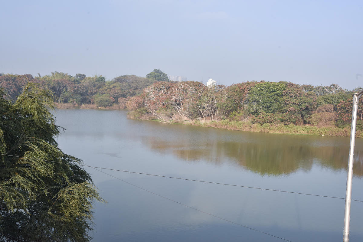 Hebbal Lake was once a quiet water body on the way out from Bengaluru and towards Hyderabad. Credit: DH Photo/SK DINESH