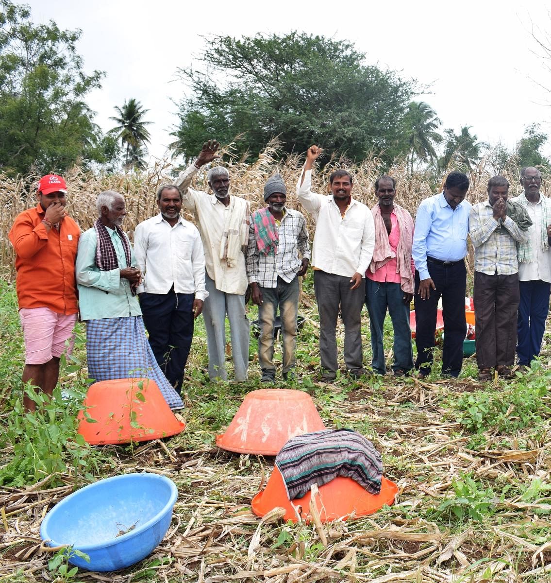 A labour group at their site of work.