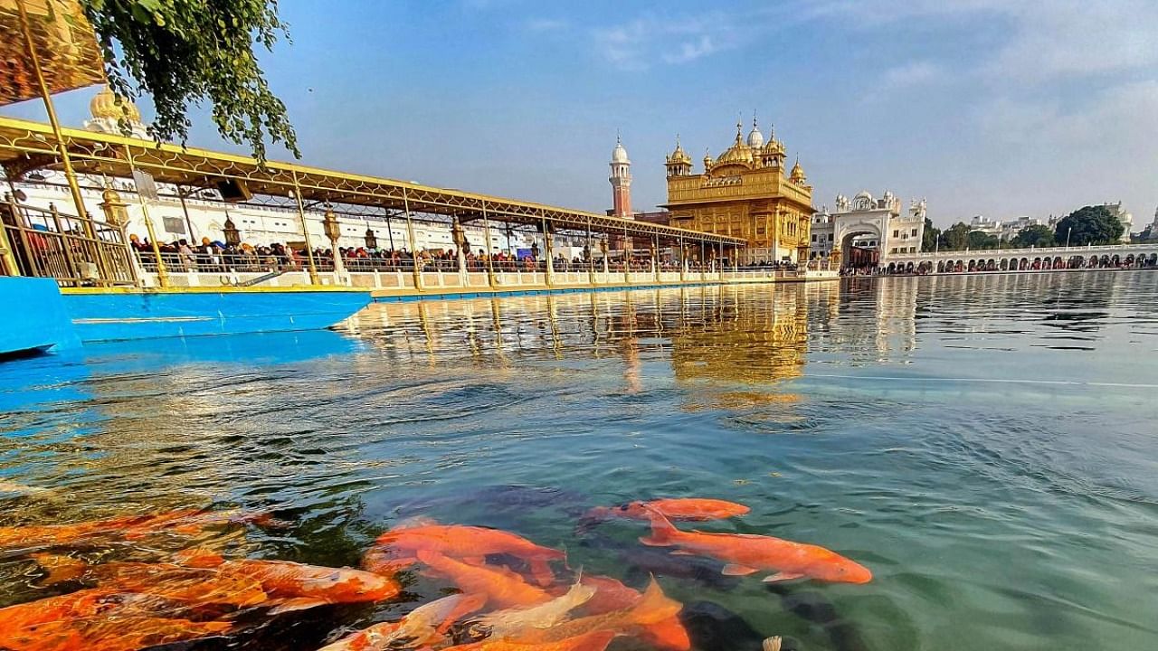 On Saturday evening, an unidentified man was caught and beaten to death after he allegedly attempted to commit “sacrilege” at the Golden Temple in Amritsar. Credit: PTI Photo
