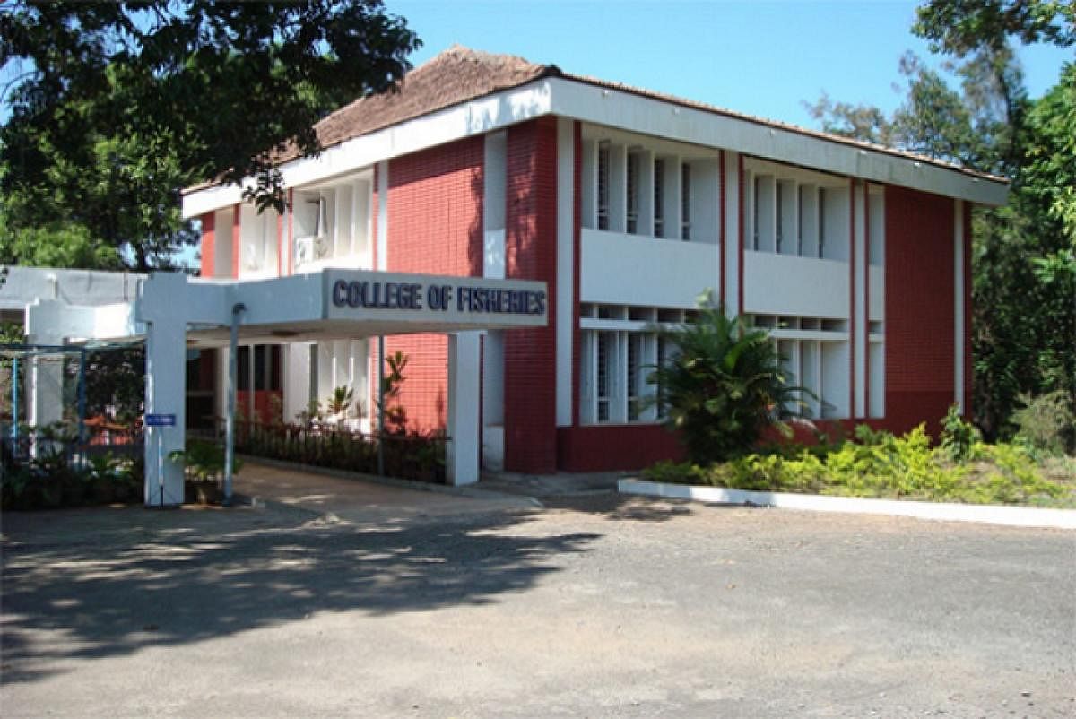 The College of Fisheries in Mangaluru.