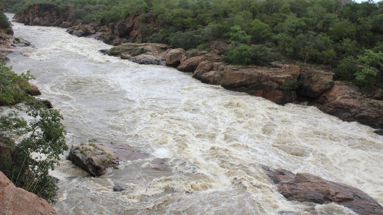 A file picture of the River Cauvery at Mekedatu. The project envisages a balancing reservoir across the river at Mekedatu to meet the drinking water needs of the Bengaluru metropolitan region. Credit: DH Photo