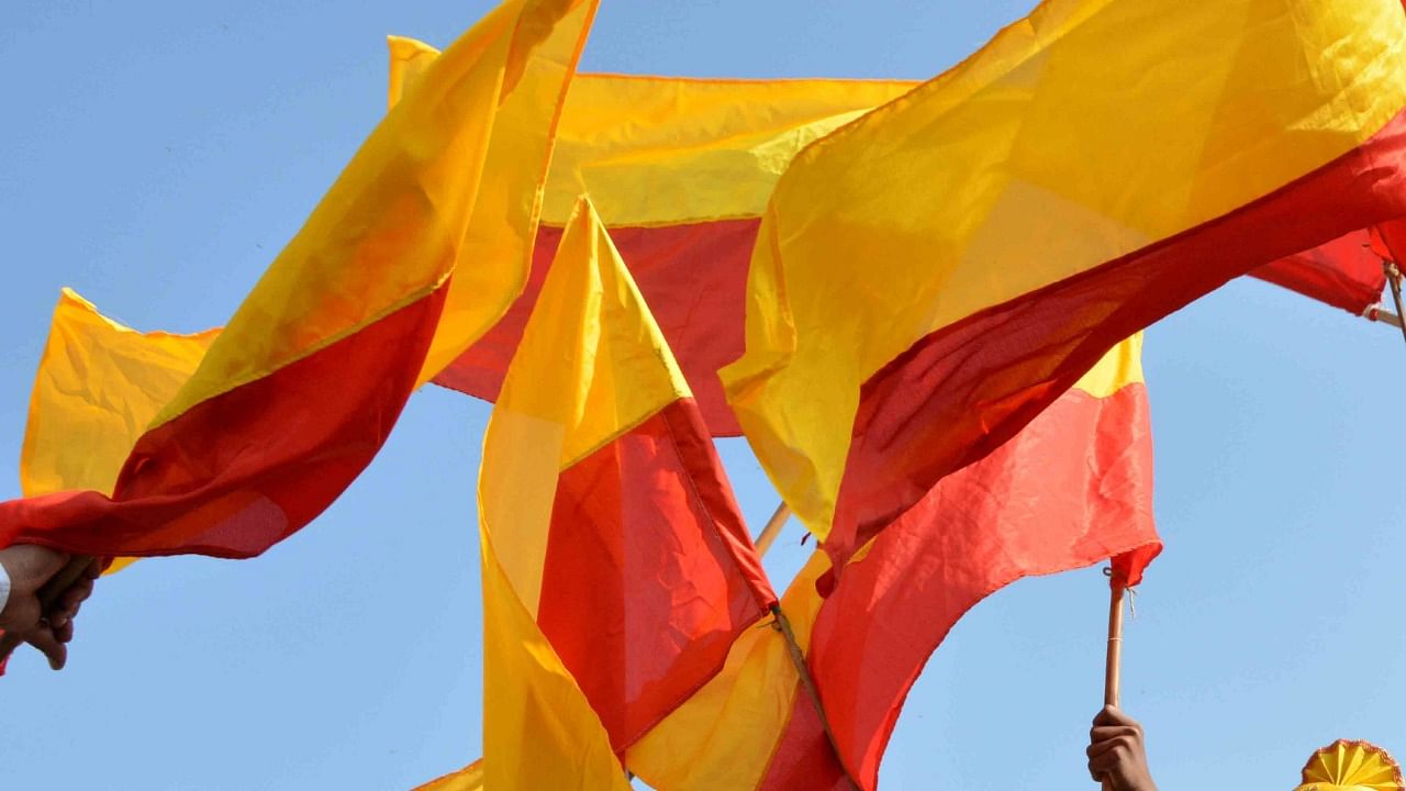 Students wave Kannada flags during Kannada Rajyothsava celebrations. Credit: DH File Photo