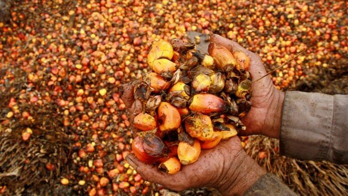 India could import 750,000 tonnes to 800,000 tonnes of refined palm oil in March quarter. Credit: Reuters Photo