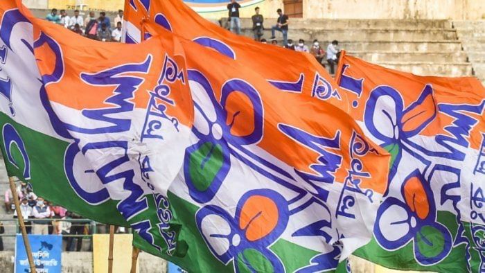 TMC flags. Credit: PTI File Photo