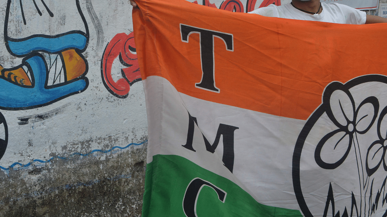 Trinamool Congress flag. Credit: PTI Photo