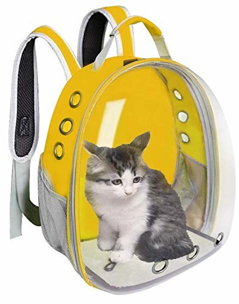 Pet backpack