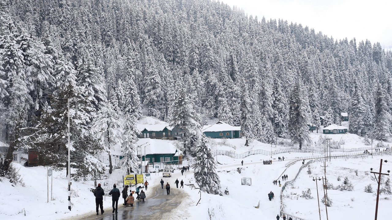 Snow and hoar-frost cover trees at Gulmarg in Kashmir. Credit: IANS File Photo