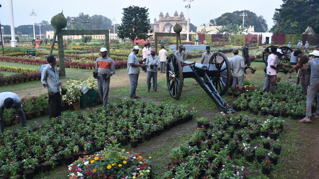 Workers arrange flower pots for the flower show. Credit: DH Photo