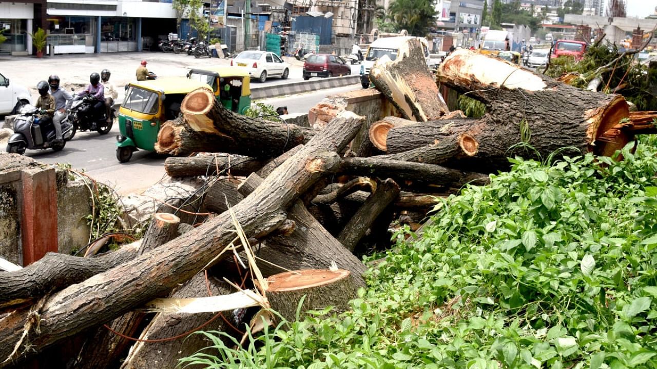 Many trees have been chopped to make way for the Bengaluru metro link. Credit: DH file photo/S K Dinesh