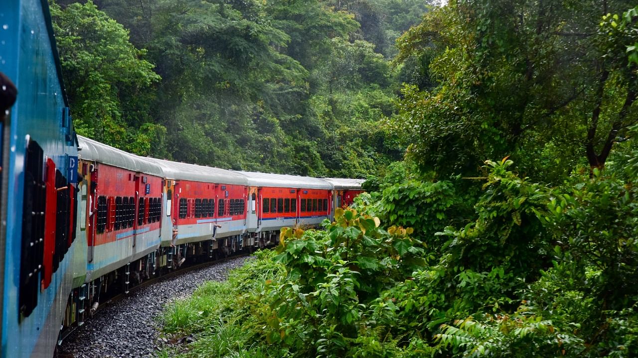 More than 3,00,000 trees of the primary forest are going to be felled to clear the way for the proposed rail line. Credit: DH File Photo/Irshad Mahammad