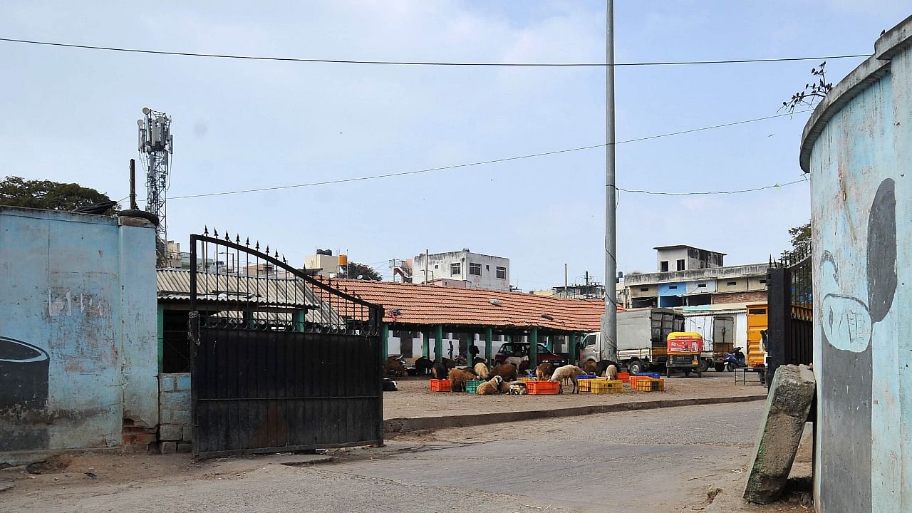 A view of slaughter house at Tannery Road, Bengaluru. Credit: DH Photo