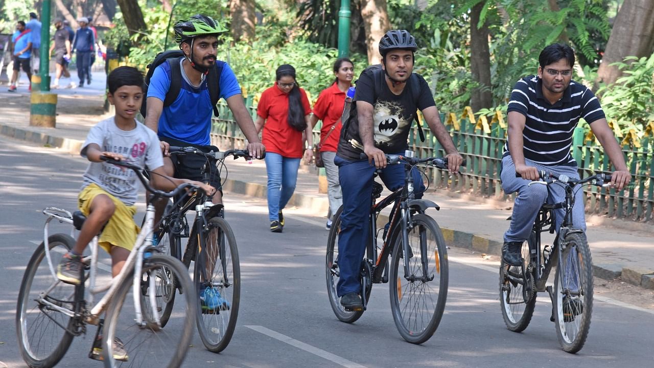 Cyclists in Cubbon Park, Bengaluru. Credit: DH File Photo/S K Dinesh