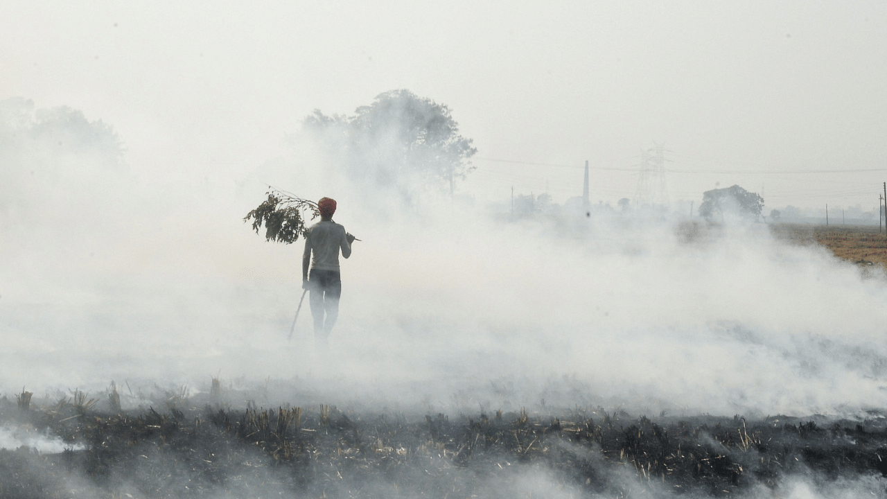 Farmers are often blamed for northern India’s terrible air quality. Credit: PTI Photo