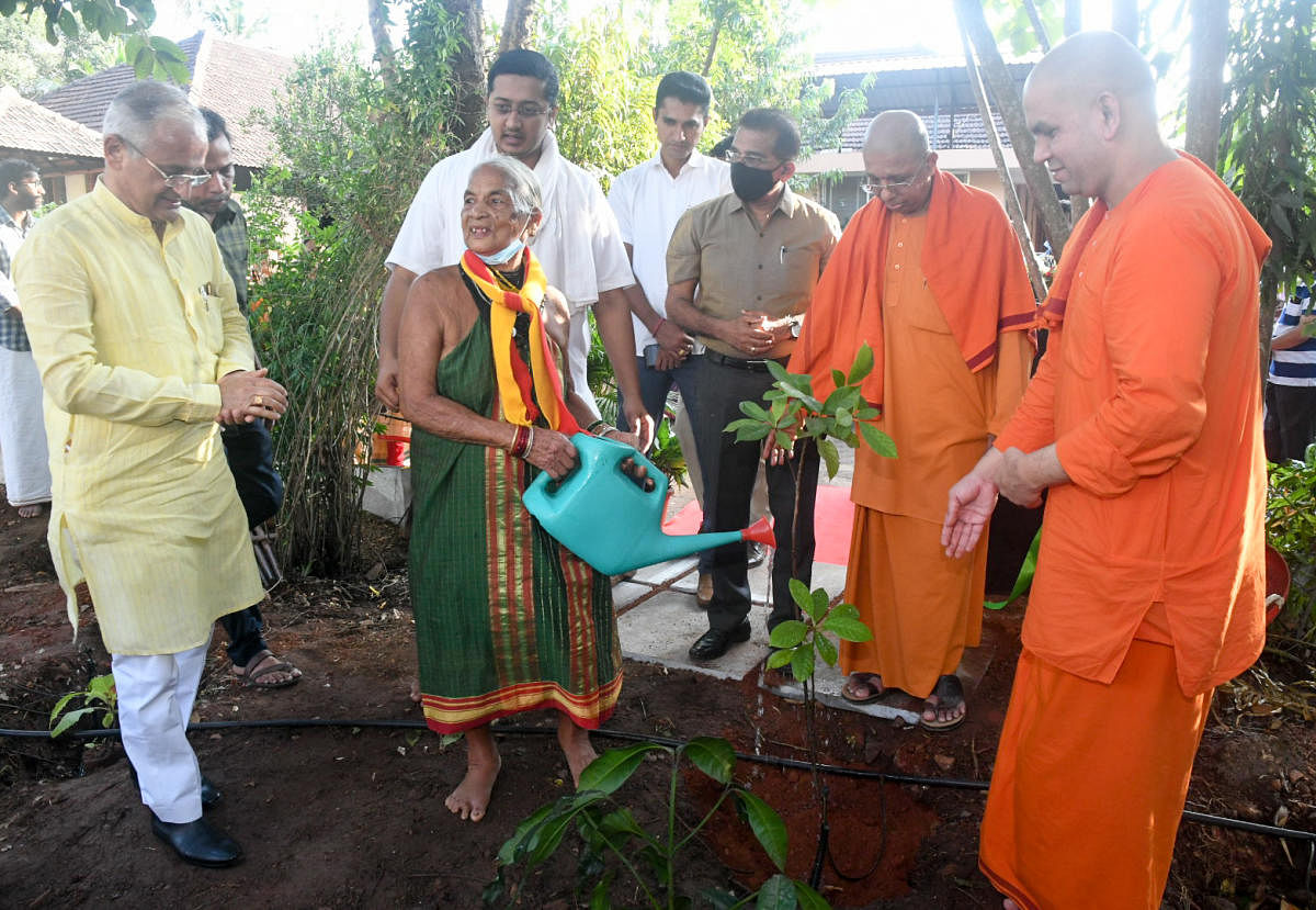 Padma Shri awardee Tulasi Gowda waters a sapling after inaugurating Vivekananda Vrukshalaya at Ramakrishna Mutt in Mangaluru. DH Photo