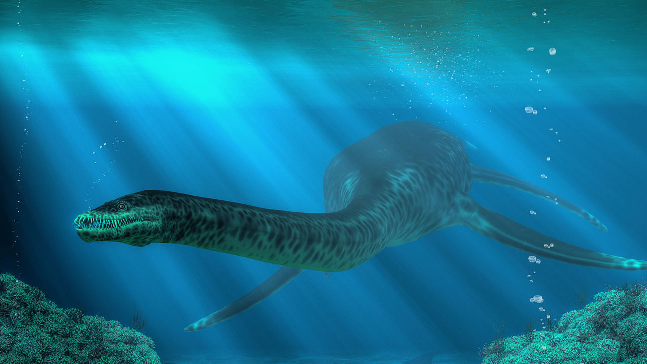 They are best known for the fanciful but appealing idea, suggested by British scientist Sir Peter Scott, that the fabled Loch Ness monster was in fact a plesiosaur that somehow outlasted all other giant reptiles and remained undetected throughout human history. Credit: iStock Photo