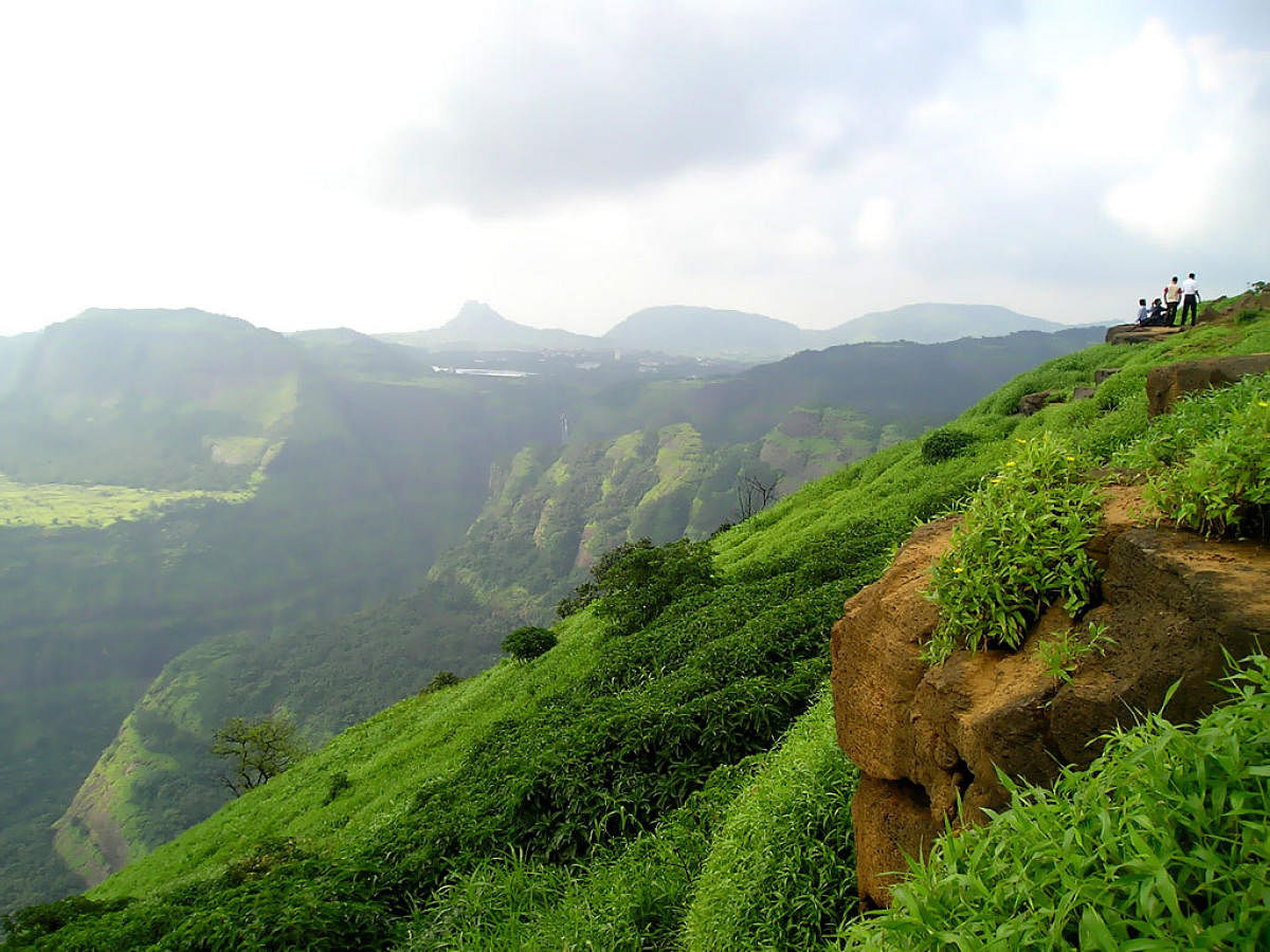 A view of the Western Ghats near Lonavala. PHOTOS COURTESY WIKIPEDIA