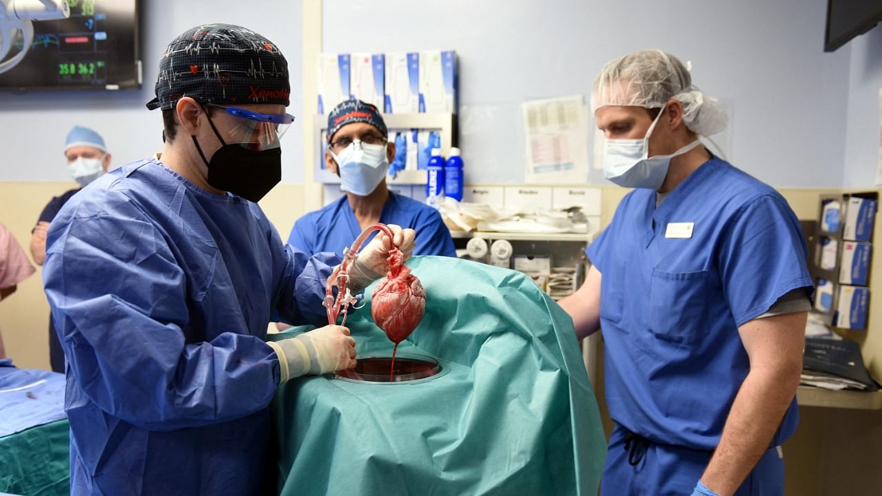 Surgeons perform pig heart transplant in Baltimore. Credit: Reuters Photo