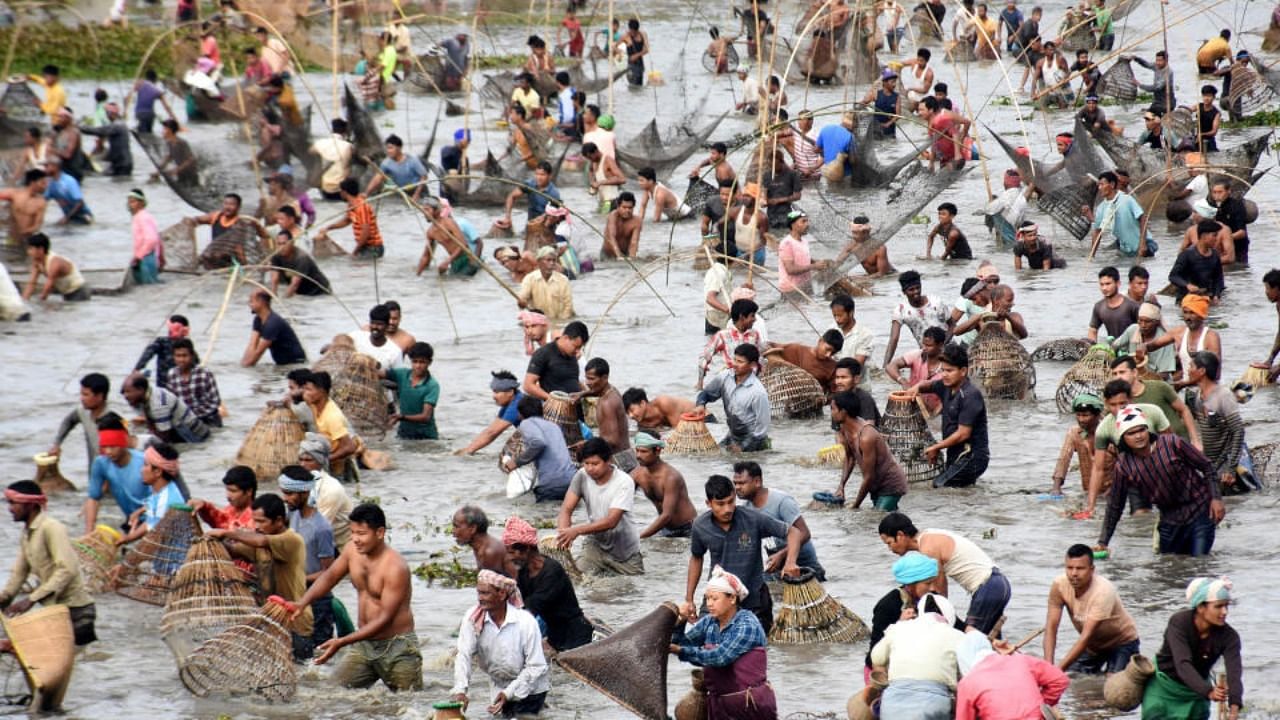 Villagers take part in a community fishing event during Bhogali Bihu celebrations at Goroimari Lake in Panbari, some 50 kms from Guwahati, Thursday, Jan. 13, 2022. Credit: PTI Photo