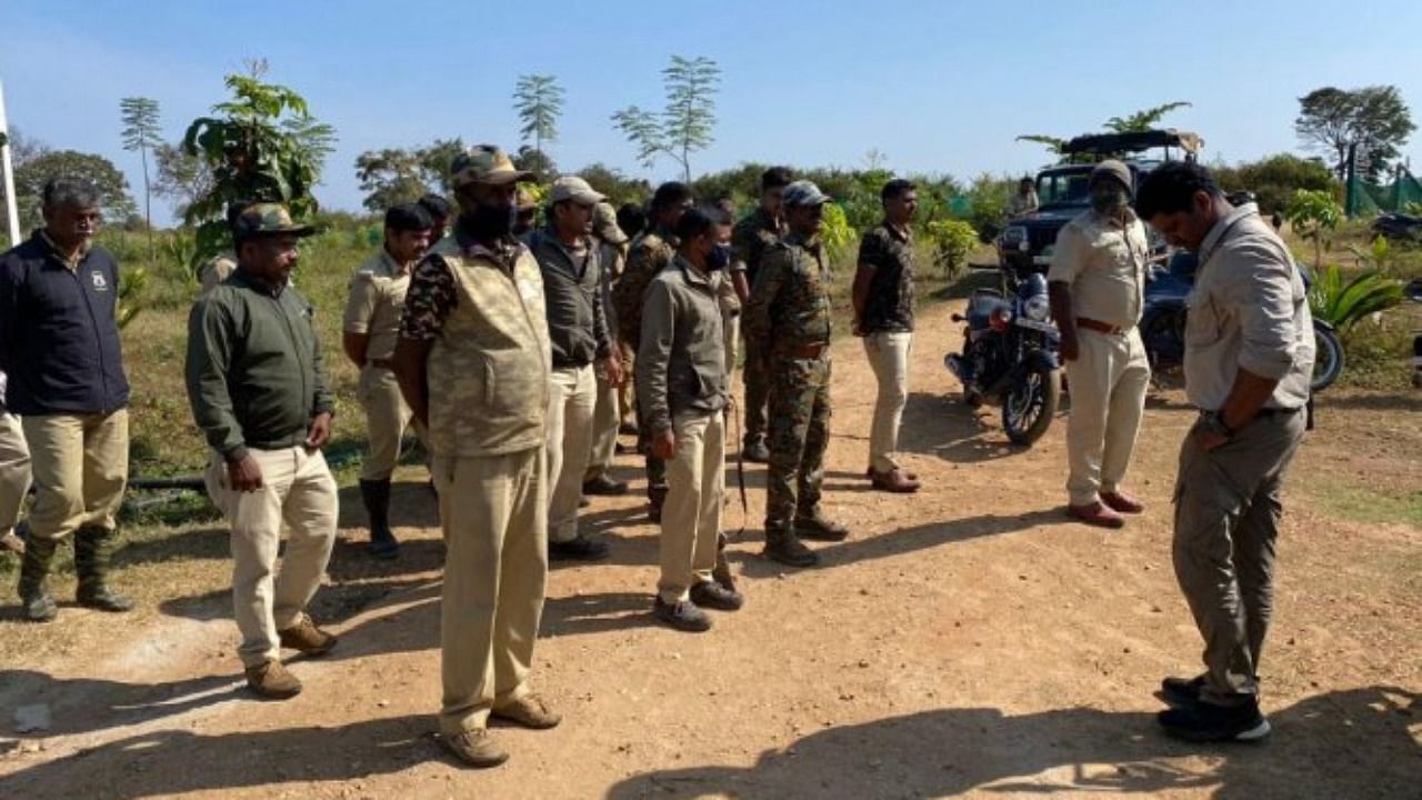 Forest dpeartment personnel ready for patrolling as the tiger was spotted at a farm in H D Kote taluk, on Friday. Credit: DH Photo