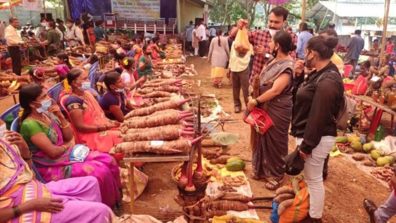 This year, a total of 169 farmers arrived from 48 villages across Karnataka, Maharashtra, West Bengal, Kerala and Goa. Credit: DH Photo