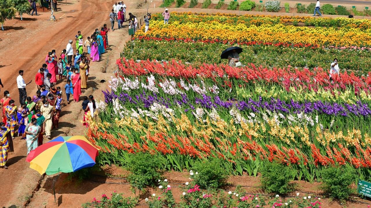 A file picture of the horticultural fair at the Indian Institute of Horticultural Research in Hesaraghatta. Credit: DH File Photo