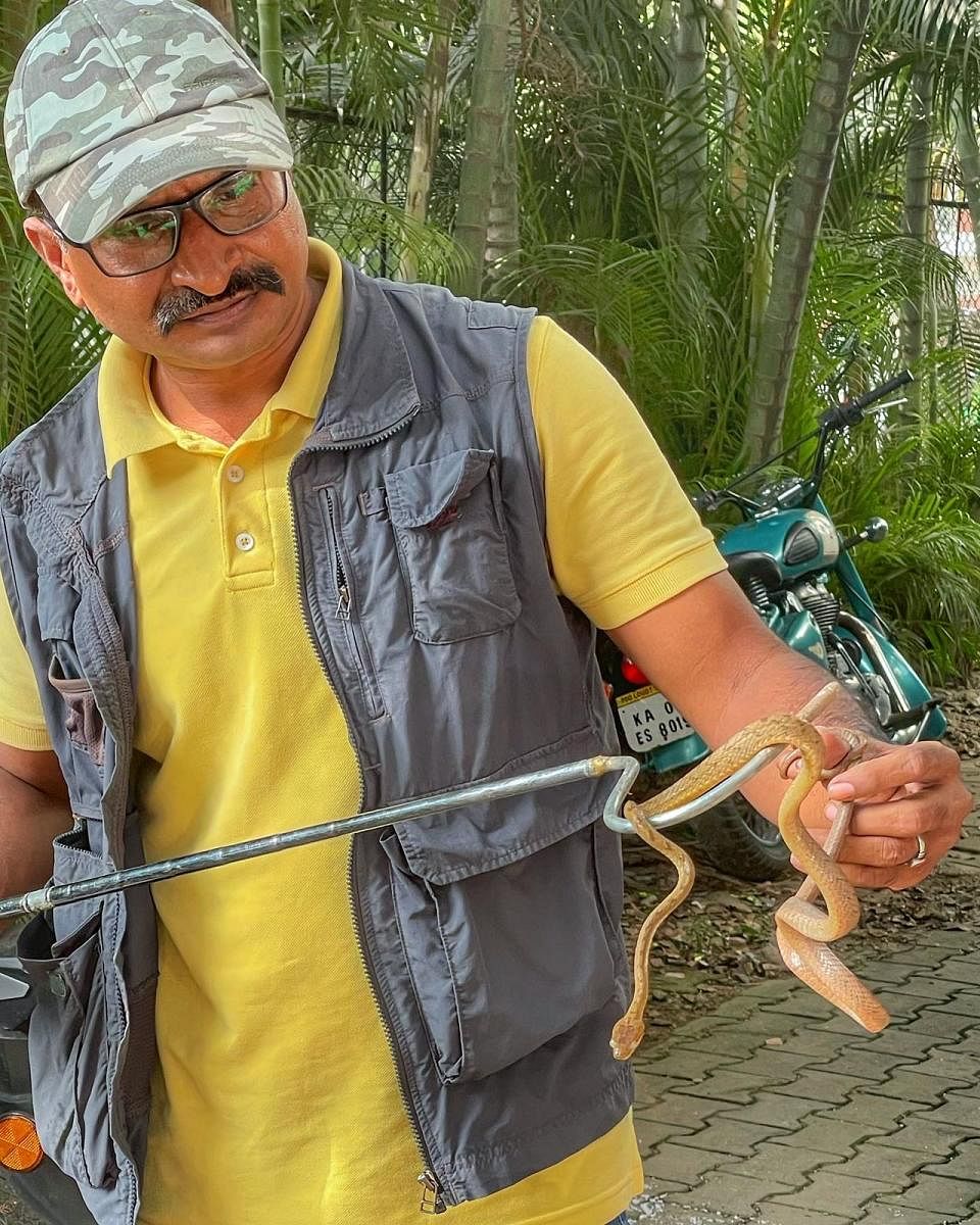 Mohan K ruptured a kidney, suffered a stroke and nerve damage when he was bitten by a cobra in 2013.
