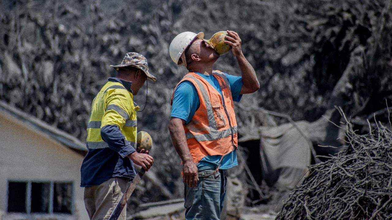 A worker drinks coconut water as he engages in relief work following volcanic eruption and tsunami in Nomuka, Tonga. Credit: Reuters Photo