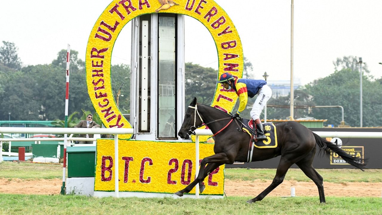 Jockey P Trevor guides his horse Zuccarelli to victory in the The Kingfisher Ultra Derby Bangalore (Grade – 1) Race, at the Bangalore Turf Club. Credit: DH Photo/B H Shivakumar