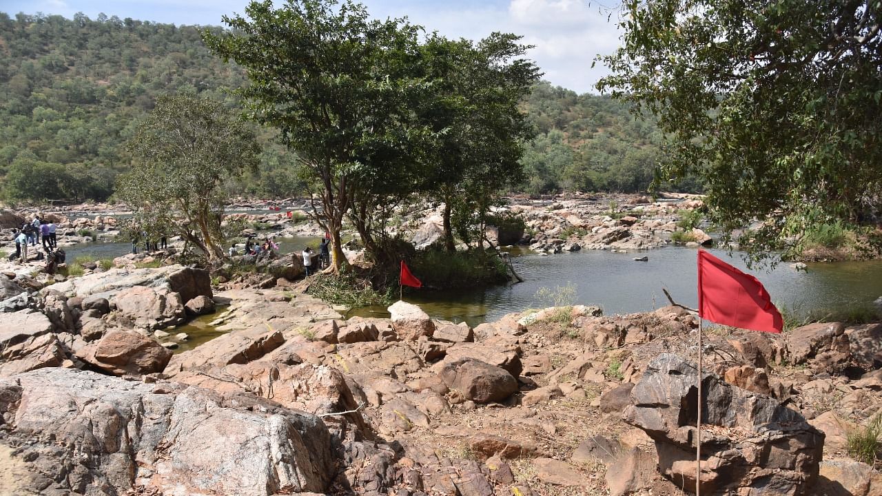 A view of the site where the proposed Mekedatu project may come up. Credit: DH File Photo