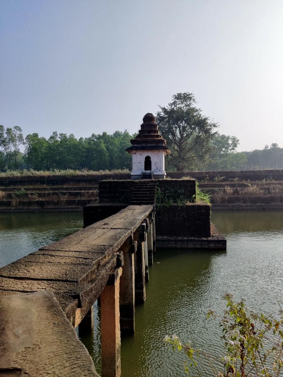 Views of Champaka Sarasu in Anandapura, Shivamogga district. Photos by S Doreswamy