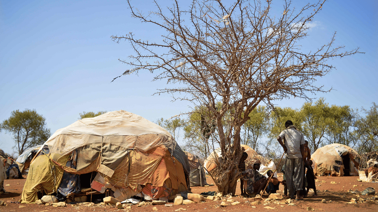 An estimated 13 million people in Kenya, Somalia and Ethiopia are facing severe hunger as the Horn of Africa experiences its worst drought in decades. Credit: AFP Photo