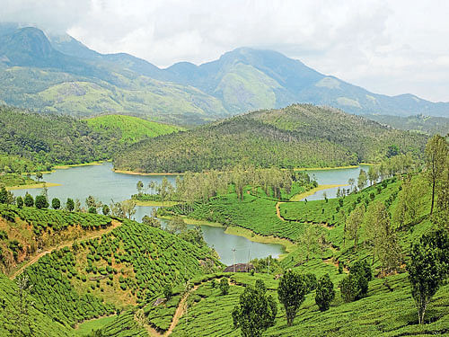 The sprawling hills of Yelagiri.