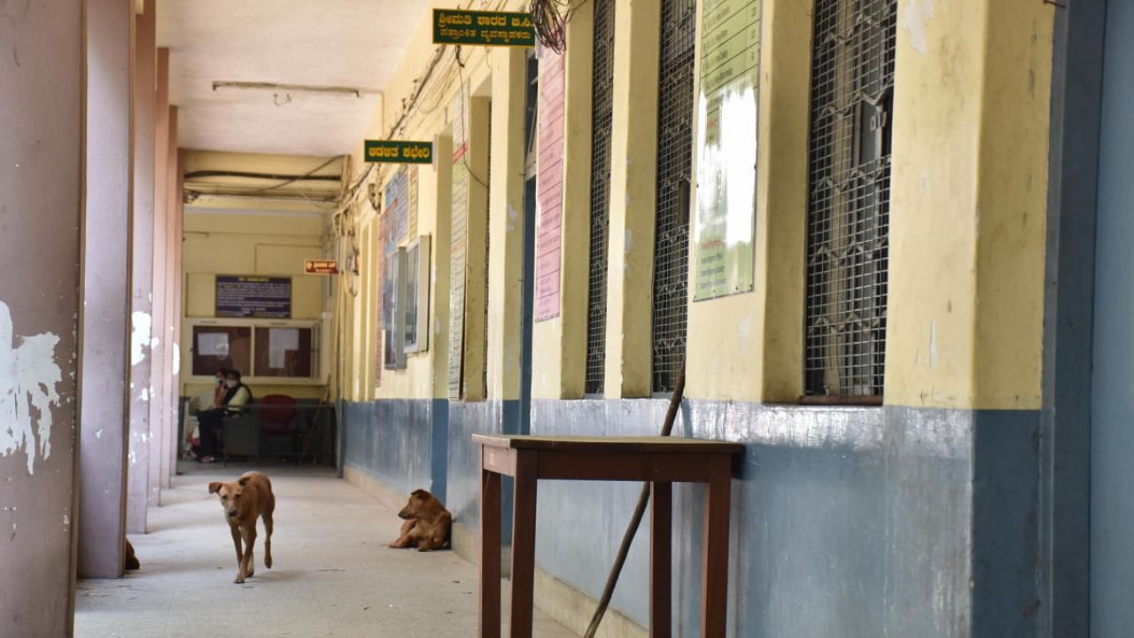 Government Science College campus looks deserted following of Hijab case orders clamped around educational institutions,in Bengaluru. Credit: DH Photo/BK Janardhan 