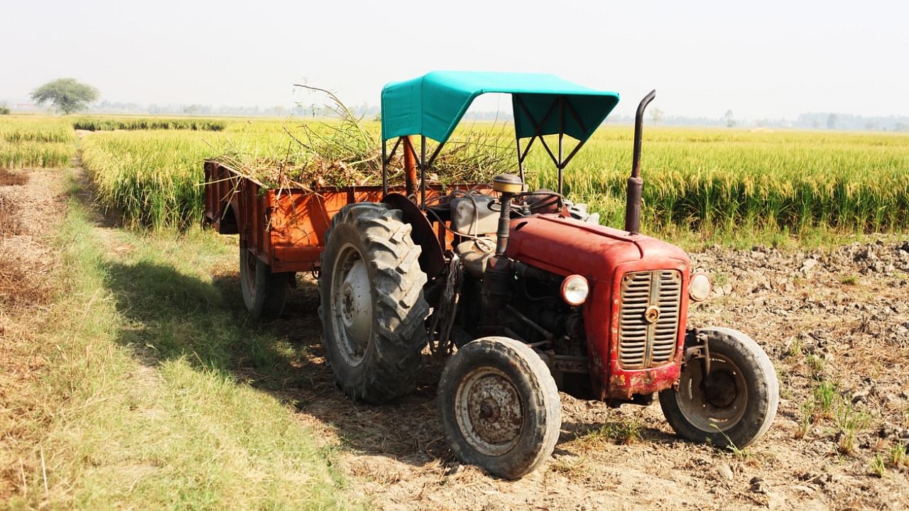 India’s agriculture sector is the second-largest consumer of diesel as farmers use the fuel to pump water, run harvesters and threshers, and transport harvests. Credit: iStock Photo