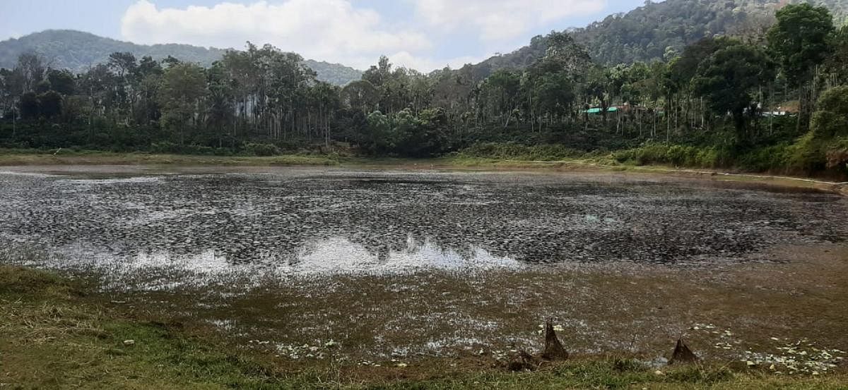 Poggare lake in Nangala village is filled with silt. DH Photo