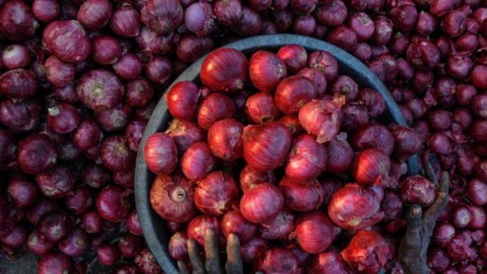As of February 17, the all-India average price of onion was ruling 22.36 per cent lower than the last year. Credit: iStock Photo