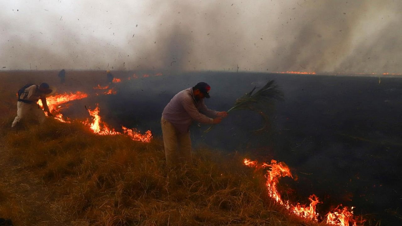 A fire consumes trees and pastures in San Luis del Palmar. Credit: Reuters Photo