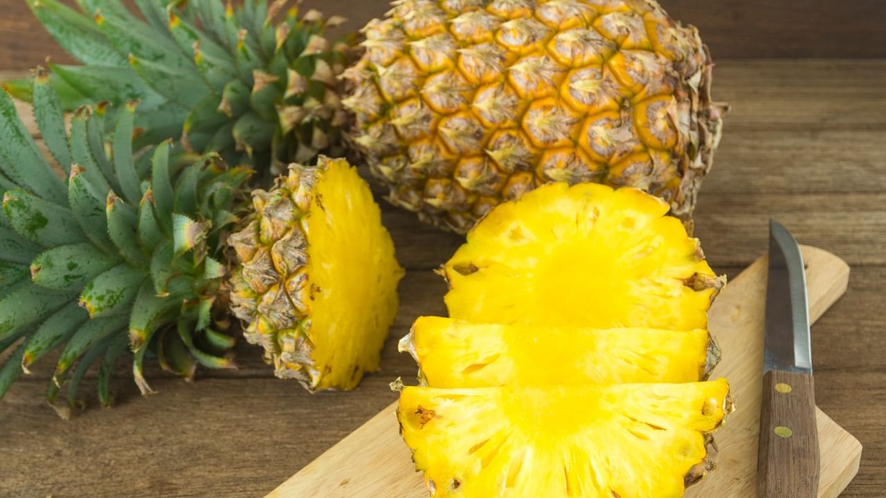 As of now, 8,800 acres of land are covered with pineapple cultivation. Credit: iStock Images