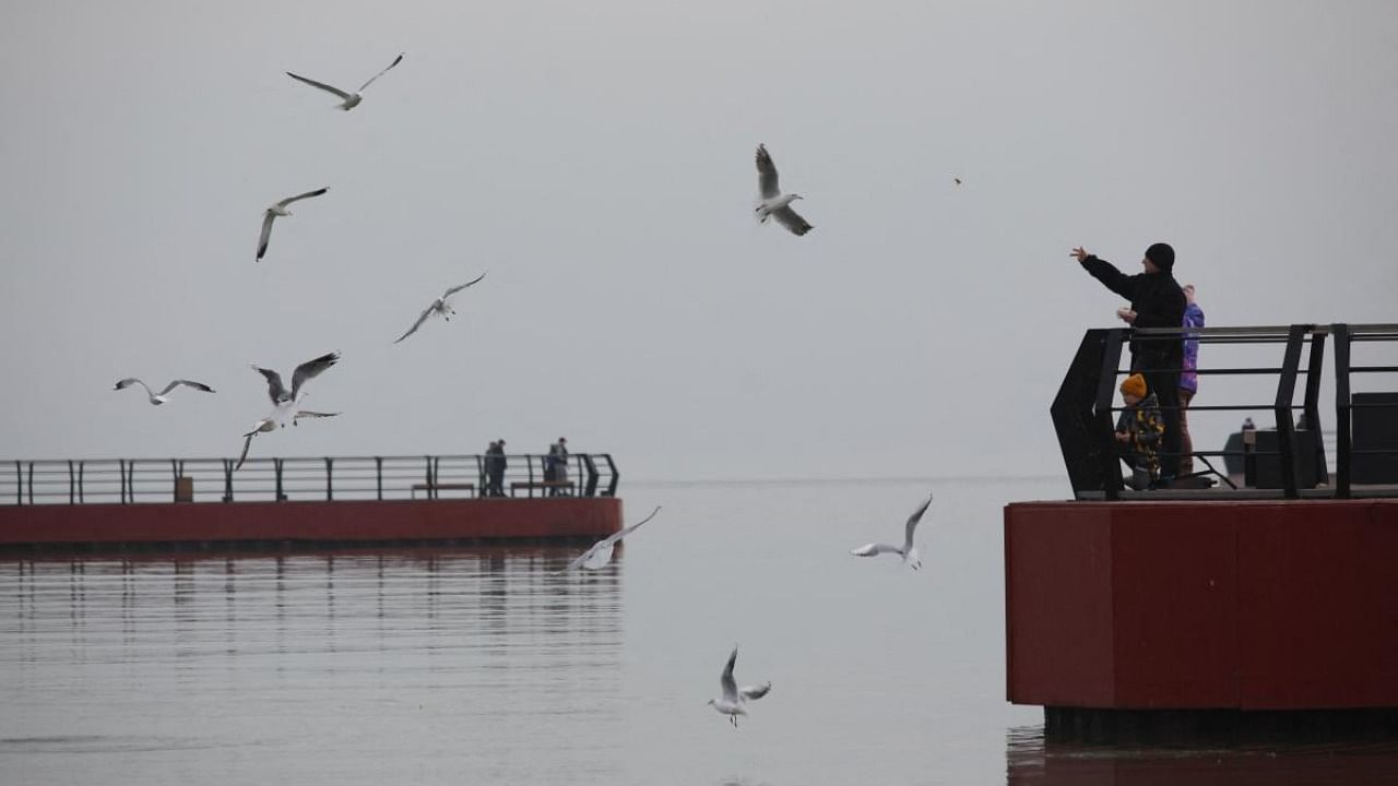 A family feeds seagulls at a coast of the Sea of Azov in Ukraine's industrial port city of Mariupol on February 23, 2022. Credit: AFP Photo