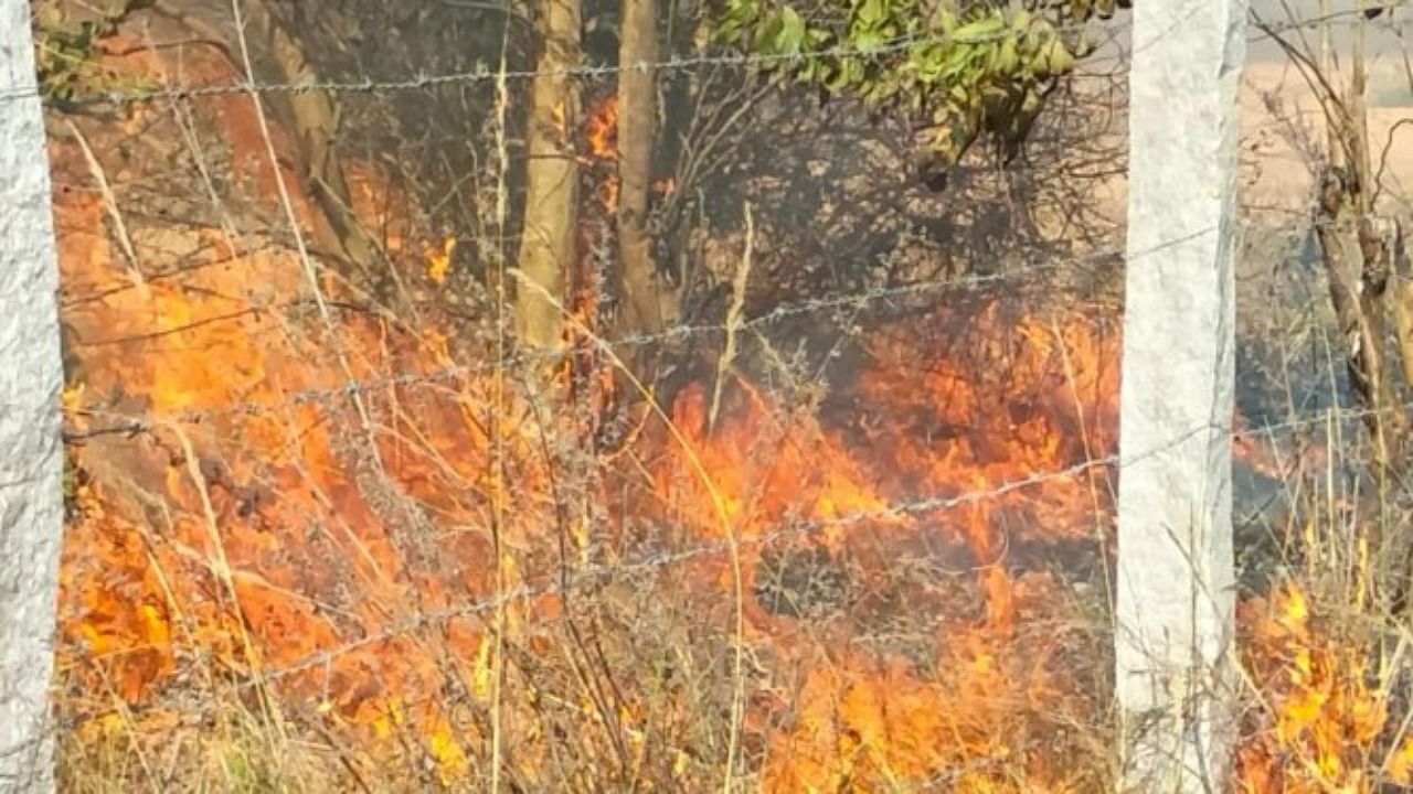 The fire that broke out on the hill engulfed over 25 acres of land quickly due to dry leaves. Credit: DH Photo