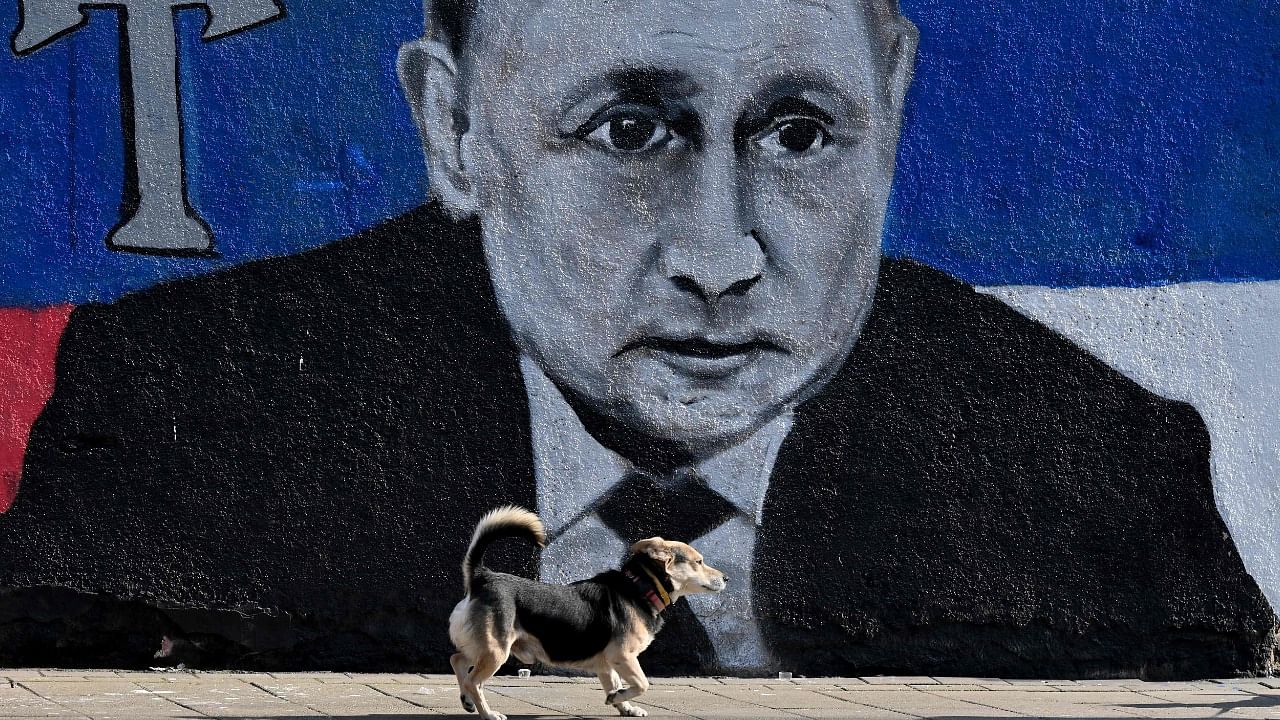 A dog walks past a mural depicting Russian President Vladimir Putin, with the Russian flag, in Belgrade on March 5, 2022. Credit: AFP Photo