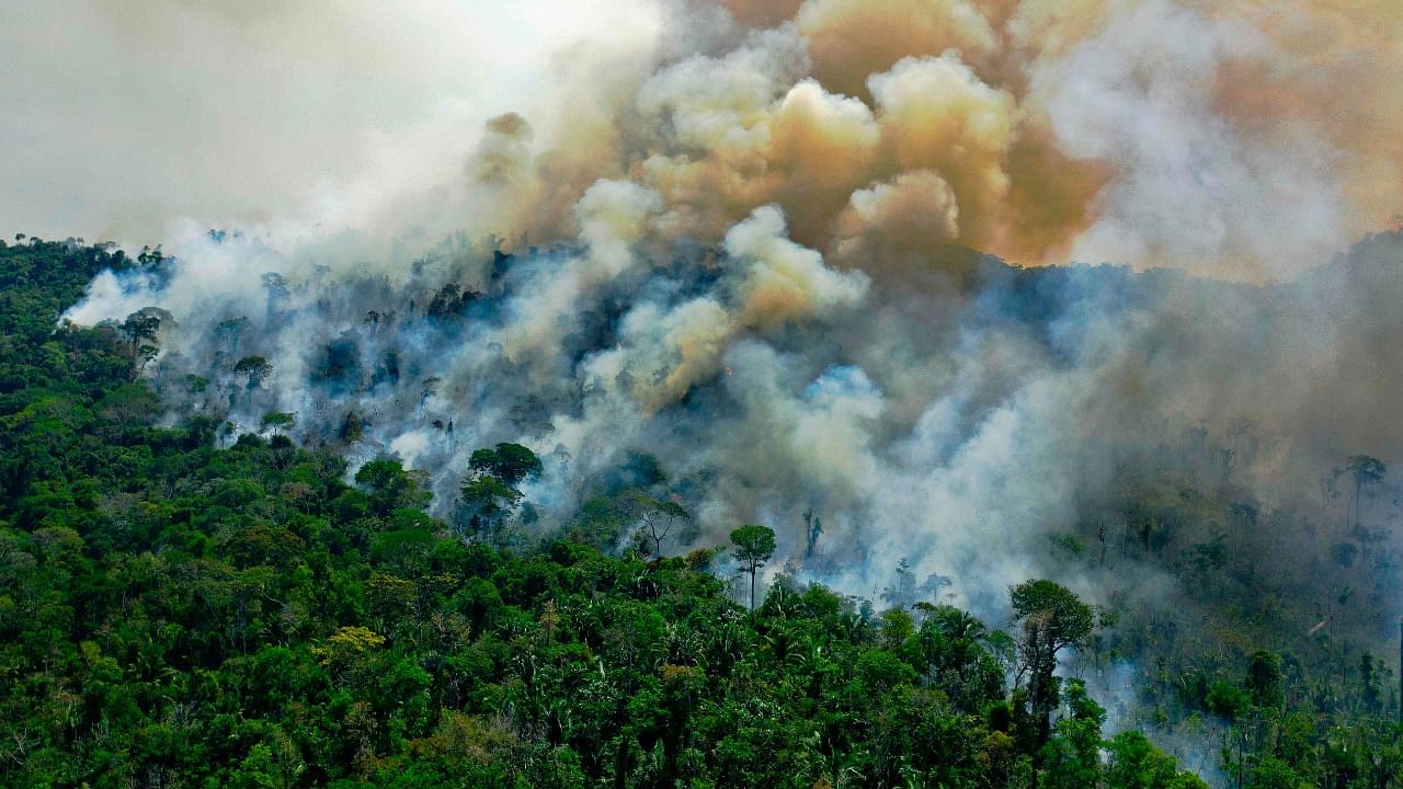 Curbing rising Amazon deforestation is vital to preventing runaway climate change impacts because of the vast amount of planet-heating carbon dioxide absorbed by the forest's trees. Credit: AFP Photo