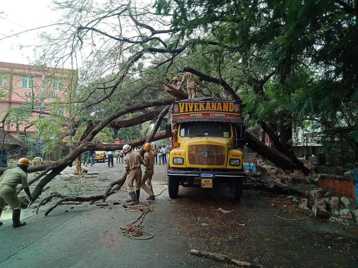 Fire service personnel clear an uprooted tree on Rosario Road in Mangaluru. Credit: DH Photo