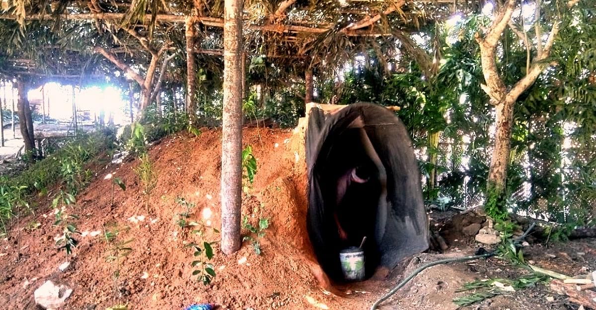 A model of a forest readied for Karkala Utsava.