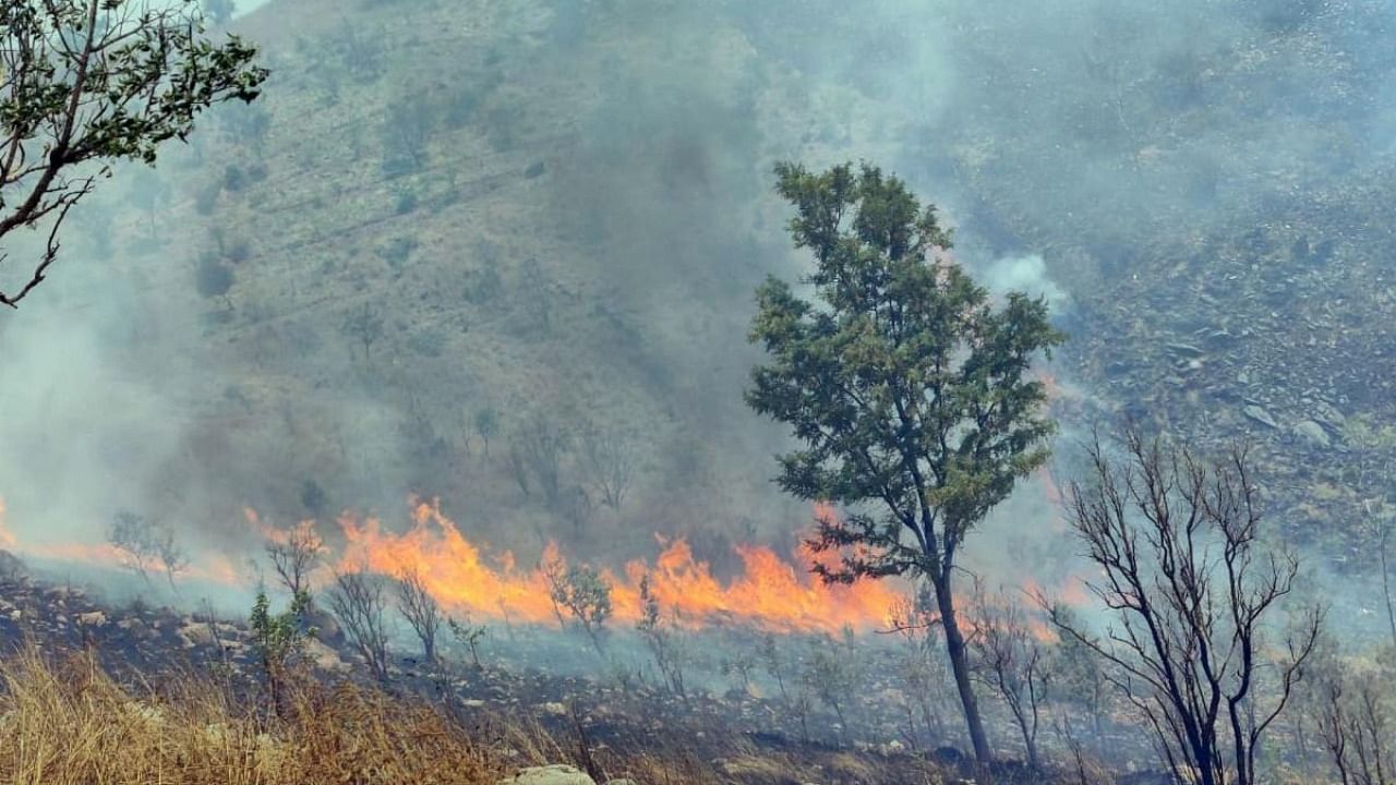Wild fire at Karighatta forest, in Srirangapatna taluk on Sunday. Credit: Special arrangement