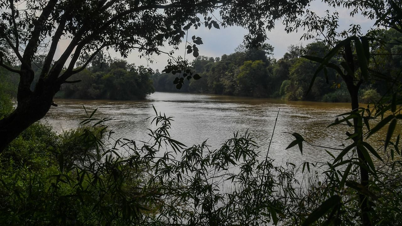 The Cauvery component of the rejuvenation scheme is to cost Rs 3,069 crore. Credit: DH File Photo